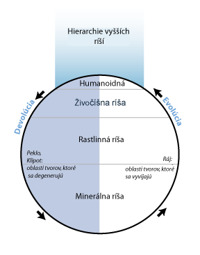 evoluce